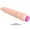 Waves Of Pleasure Vibrator 21.5 Cm für Anfänger