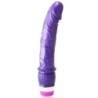 Ondas de Prazer Vibrador 23 Cm Roxo