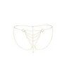 Tělový řetízek Culotte The Magnifique Collection Bijoux Indiscrets Zlatá