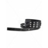 Collar Y Correa Negros Rivet Argus Toys