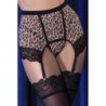 Cr-4484 Leopard 38 M Set