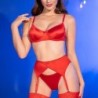 Cr-4670 Chilirose Rot 42 XL Set