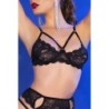 Cr-4697 Chilirose 40 L Set