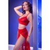Cr-4850 Chilirose Red Set 36 S