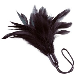 Prestige Staubwedel Schwarz