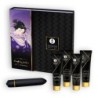 Shunga Geisha Pikaresk Set