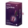 Love Birds Vary Connect App vaagnapõhjalihaste treeningseade punane Satisfyer