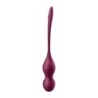 Love Birds Vary Connect App vaagnapõhjalihaste treeningseade punane Satisfyer
