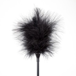 Feather Duster and Black Whip Secret Play