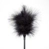Feather Duster and Black Whip Secret Play