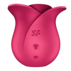 Pro 2 Modern Rose Satisfyer stimulators