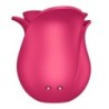 Stimulateur Pro 2 Modern Rose Satisfyer