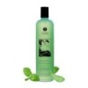 Gel de Banho e Duche - Menta Sensual - 12,5 Fl Oz / 370 Ml - Shunga Erotic Art