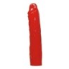 Anal Red Roses Set You2Toys Kit