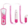 Vibrating Bullet Kit With Remote Control Viibe