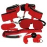 Kit Bondage Set Bad Kitty Rood