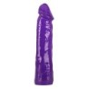 Purple Appetizer You2Toys komplekts