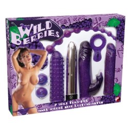 Rinkinys Wild Berries You2Toys