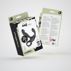 Massageador de Próstata Recarregável Loki Com Controle Remoto Crushious