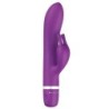 Masseur Bwild Classic Avec Rabbit Violet