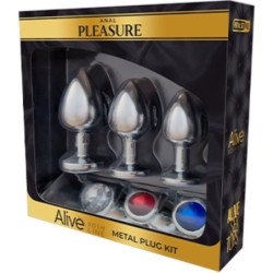Kit de plăcere anală 3 Plug Metal