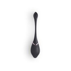 Ovo Vibratório Recarregável Com Comando Preto Toyz4Lovers