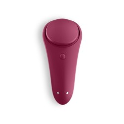 Panty Vibrator Con App Sexy Secret Satisfyer