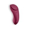Pikkuhousuvibraattori App-ominaisuudella Sexy Secret Satisfyer