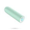 Quackers Uppladdningsbar Vibrator Kula med USB Mintgrön Crushious
