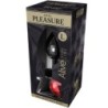 Anal Pleasure Mini Plug Metall Punane Suurus L