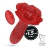 Plug Anal Romeo Avec Mouvement De Va-et-Vient Et Télécommande Crushious