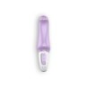 Vibrator Charming Smile Met Usb-Oplader Satisfyer Vibes
