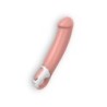 Master Vibrator Met Usb-Oplader Satisfyer Vibes