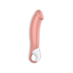Master Vibrator Met Usb-Oplader Satisfyer Vibes