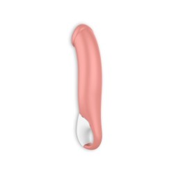 Master Vibrator Met Usb-Oplader Satisfyer Vibes