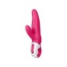 Mister Rabbit Vibrator met USB-Oplader Satisfyer Vibes