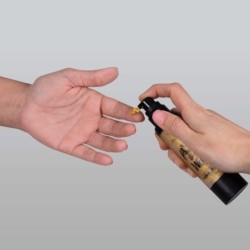 Ulei de corp strălucitor Glow Body Oil Pretty But Wild Secret Play 50Ml