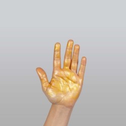 Ulei de corp strălucitor Glow Body Oil Pretty But Wild Secret Play 50Ml