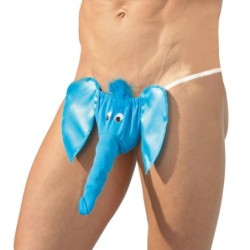 Ziloņa stringi