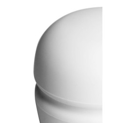 Maseur pentru clitoris Europe Magic Wand