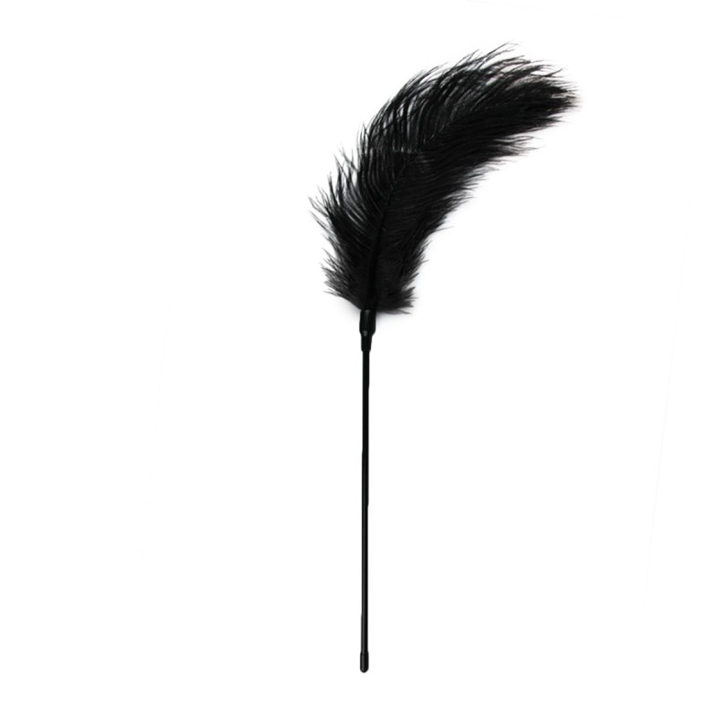 Black Tickle Feather Duster