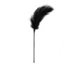 Black Tickle Feather Duster