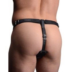 Arreio com anel peniano e plug anal
