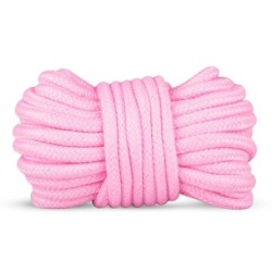 Koffer van Geheime Lust - Roze Plezier