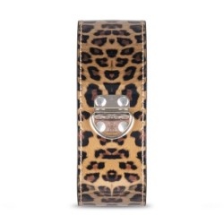 Coffret de Plaisir Secret - Chatte Sauvage Coquine