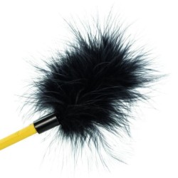 Boundless Feather Cultivation