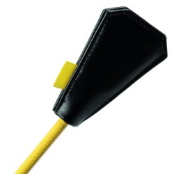 Boundless Cultivarea Penelor