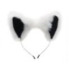 Set di Orecchie e Coda di Volpe Bianco